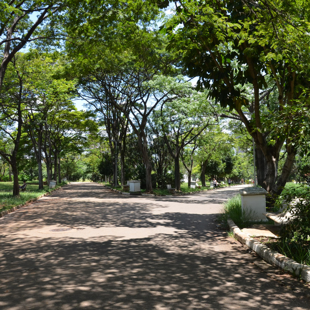 Atrações do Parque Ceret para o Dia das Crianças