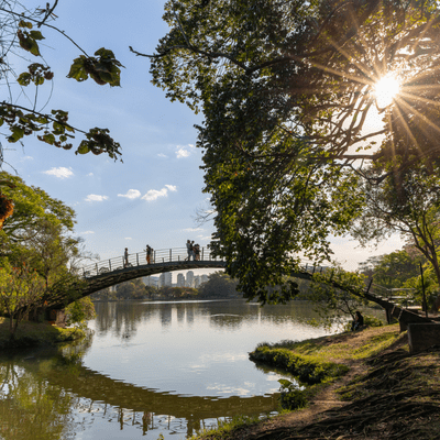 Parque Ibirapuera apresenta agenda semanal de eventos