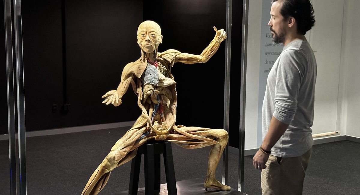 Mostra Corpo Humano