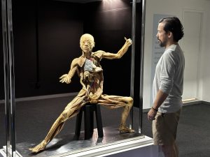 Mostra Corpo Humano