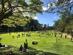 Parque do Carmo