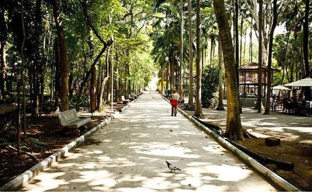 Parque da agua branca - pista de caminhada