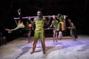 Circo Science