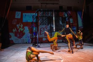 Circo Science – Do Mangue ao Picadeiro