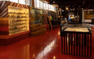 Museu de Geociências da USP