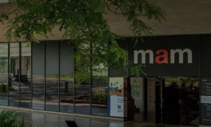 Museu de Arte Moderna de São Paulo