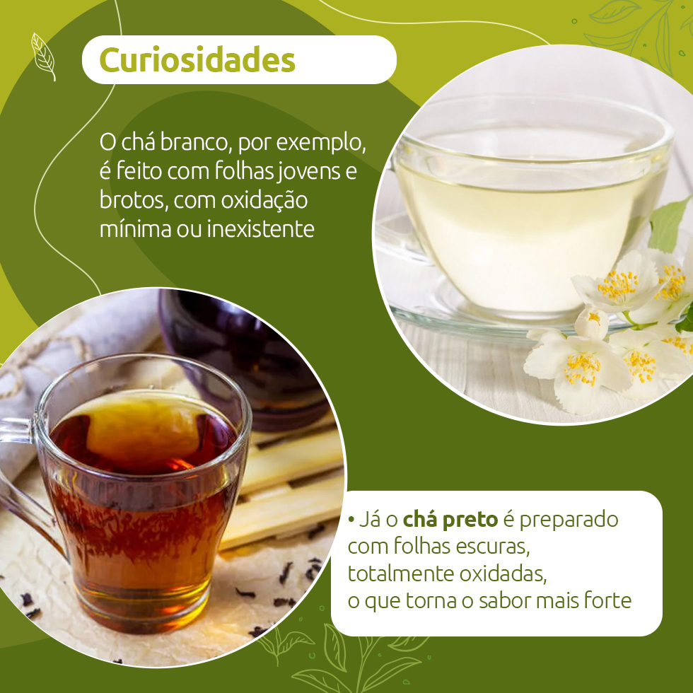 roteiro dia do chá