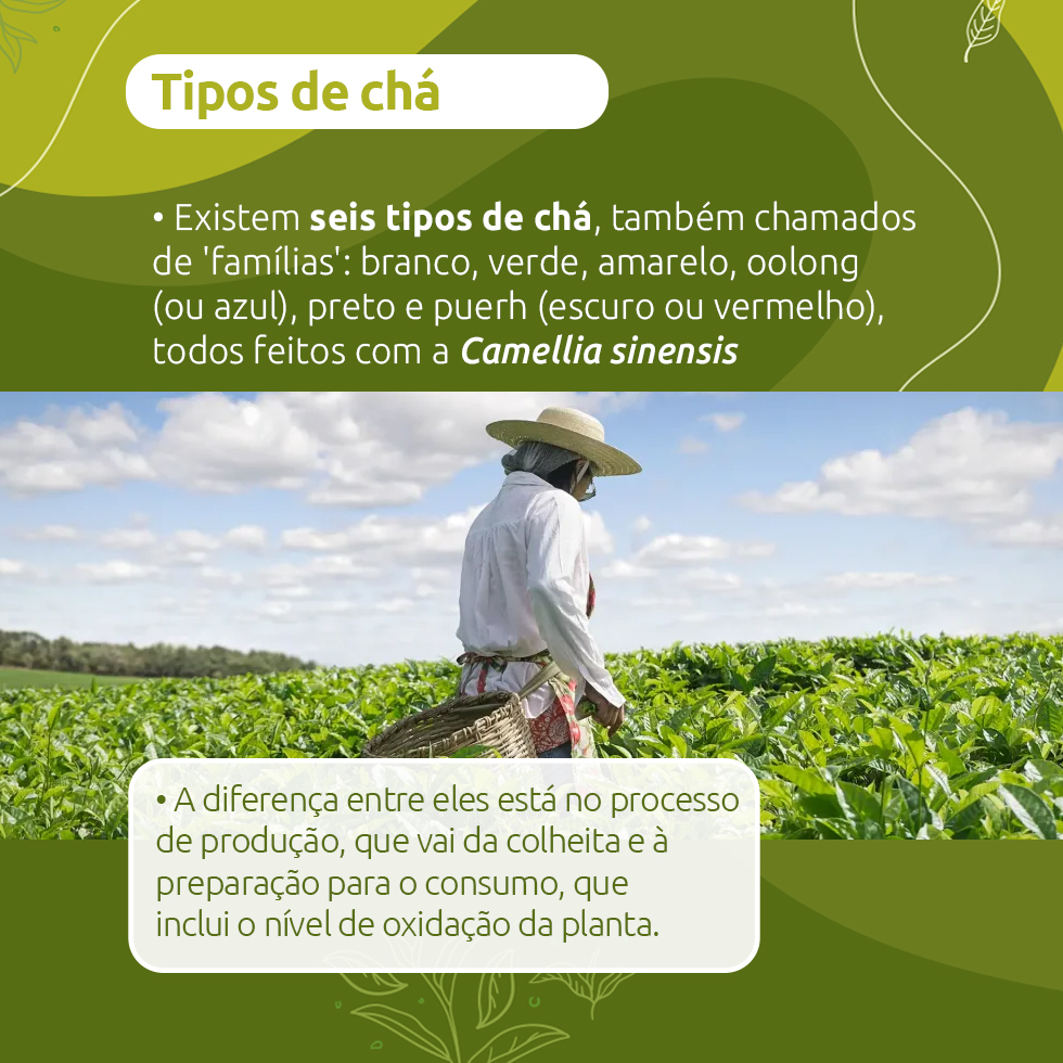 dia do chá