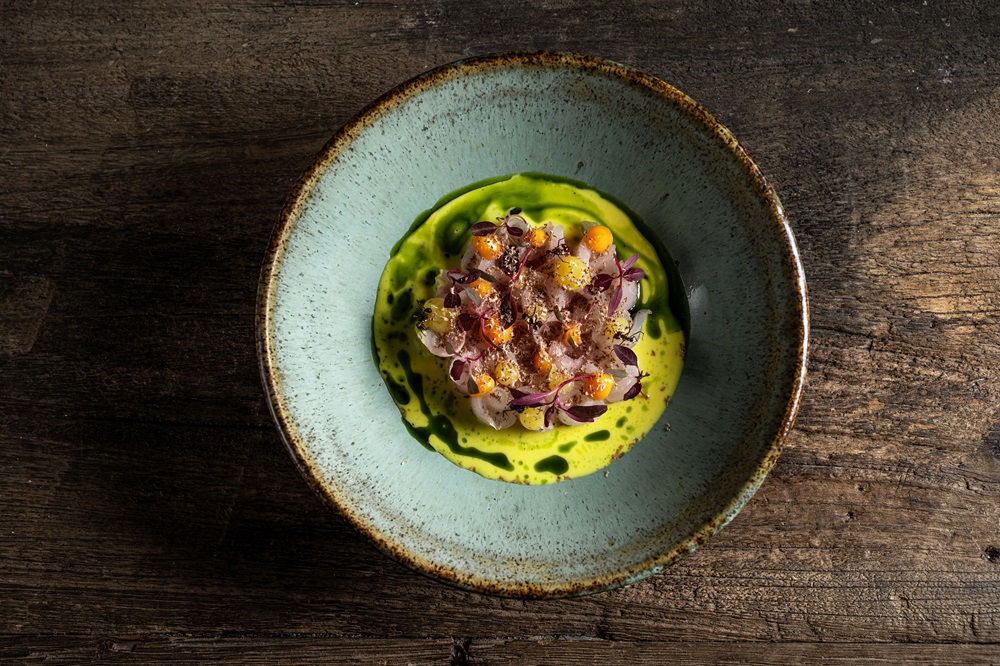 Onde celebrar o Dia do Ceviche em São Paulo