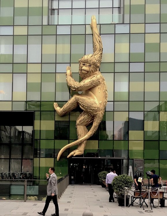 festival cidade da cultura