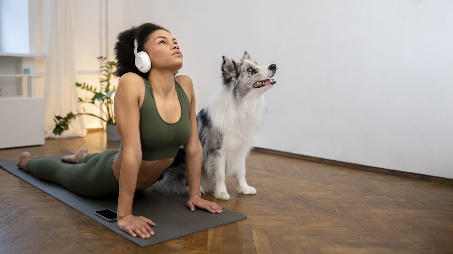 Yoga com cães