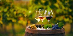 Vinhos para brindar o 14 de julho com elegância