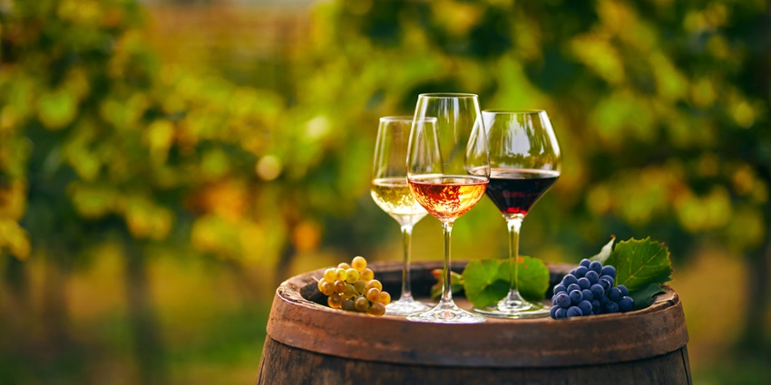 Vinhos para brindar o 14 de julho com elegância