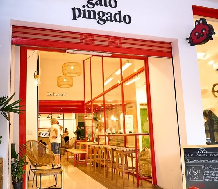 Gato Pingado estreia no Jardim Paulista