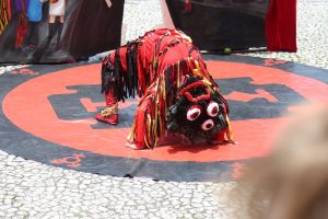 Tarântula Transita