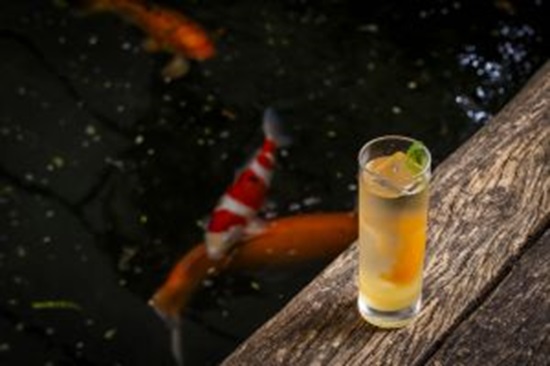 Praça São Lourenço brinda vinte anos com drinks novos