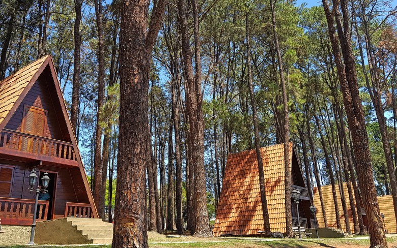 Turismo em Holambra