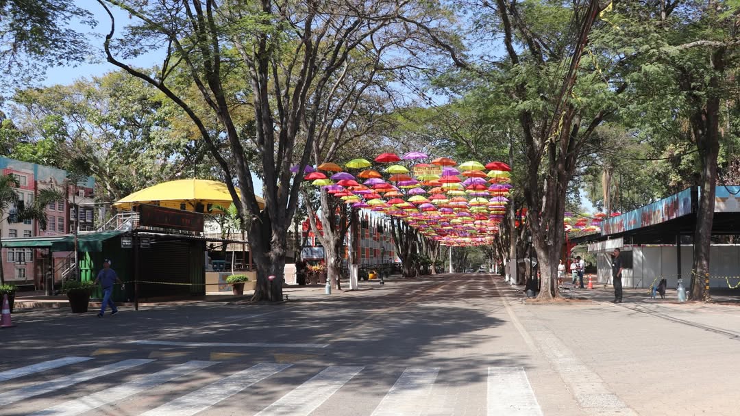Turismo em Holambra