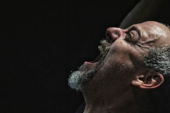 Outra Revolução dos Bichos