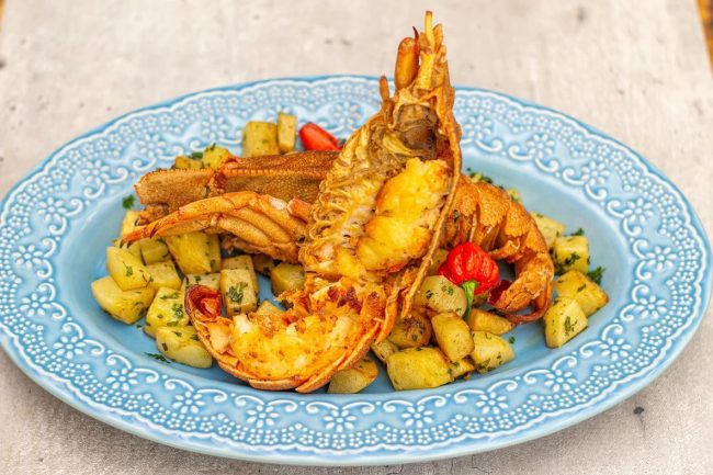 Ceagesp recebe festival de frutos do mar