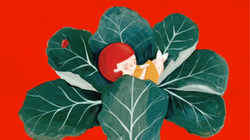 Dia Nacional do Livro No Brasil