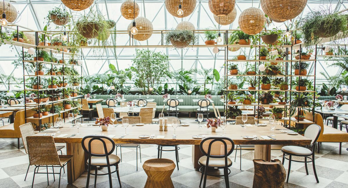 Brunch divertido no Terraço Jardins