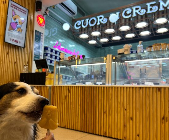 10 endereços para ir no feriado