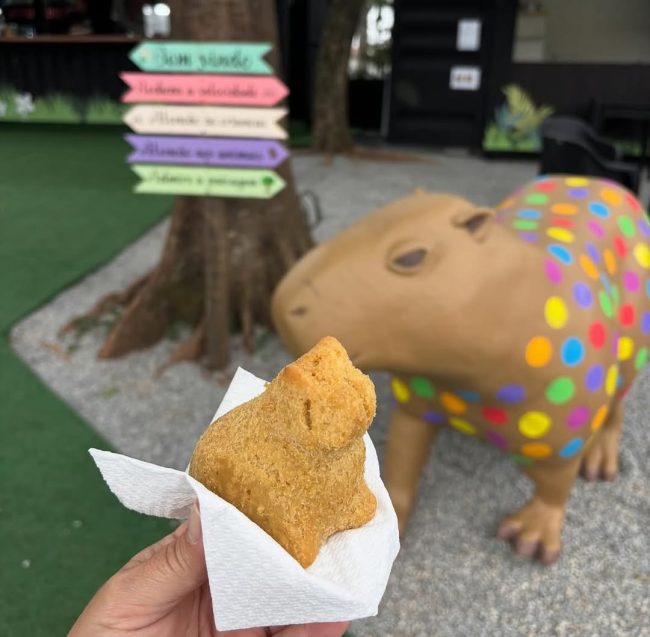 Café temático é sucesso entre fãs de capivaras