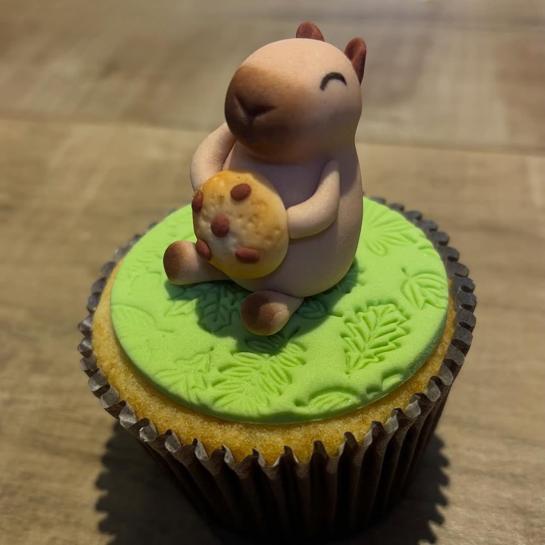 Café temático é sucesso entre fãs de capivaras