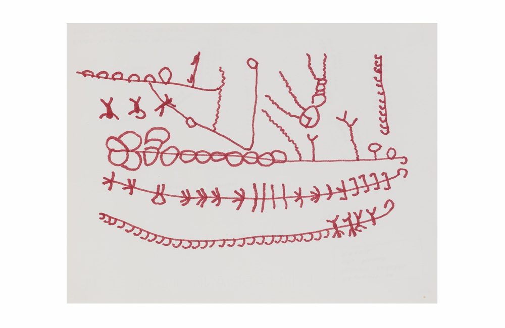 André Taniki Yanomami