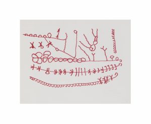 André Taniki Yanomami