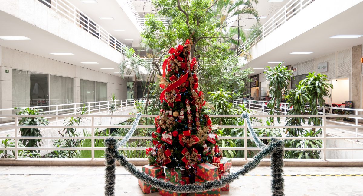 Natal no Centro reúne design, arte e boa mesa
