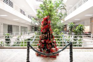Natal no Centro reúne design, arte e boa mesa