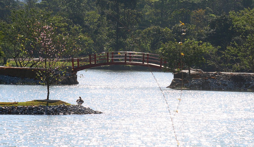 roteiros de trem em SP