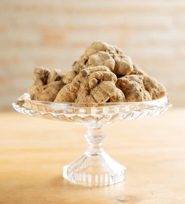 Temporada de trufas brancas no Piselli