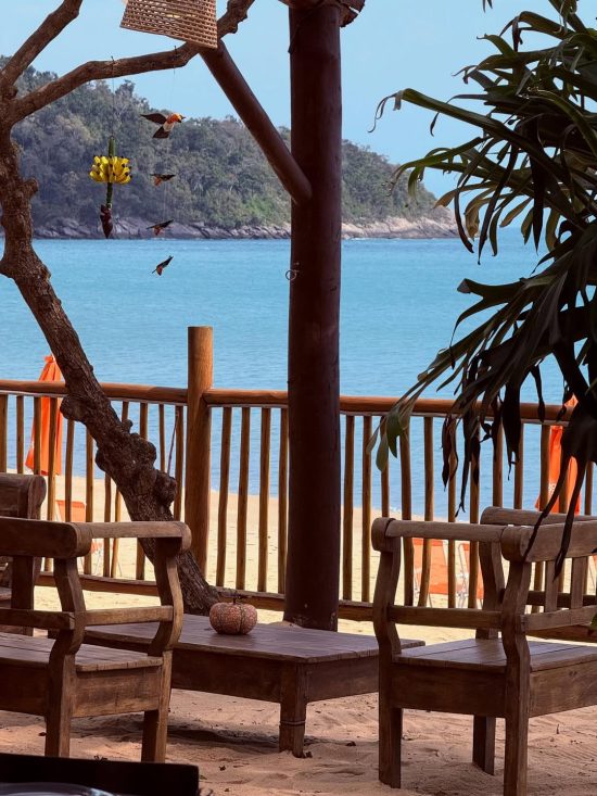 Sabores do litoral: quando a mesa encontra o mar