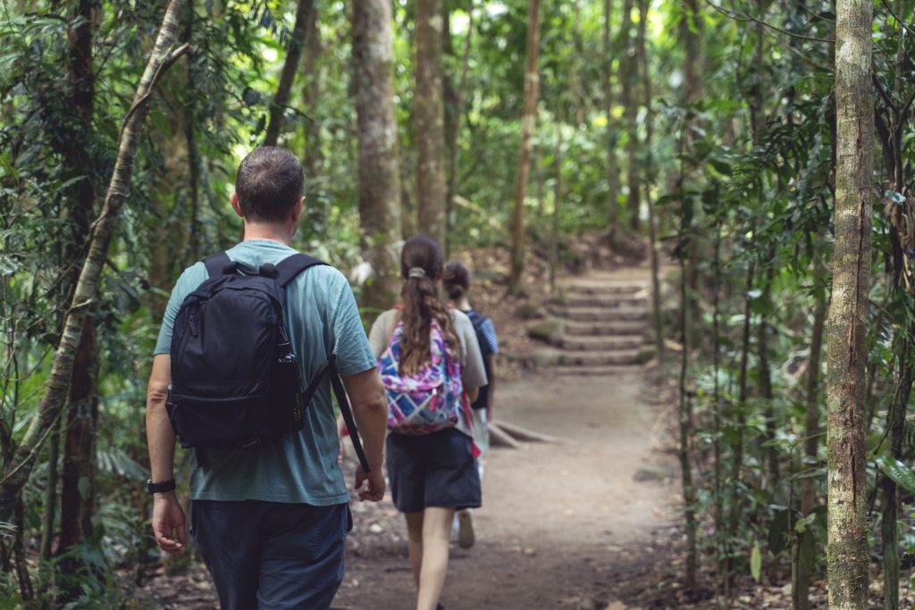 Atrações na Zona Norte de SP