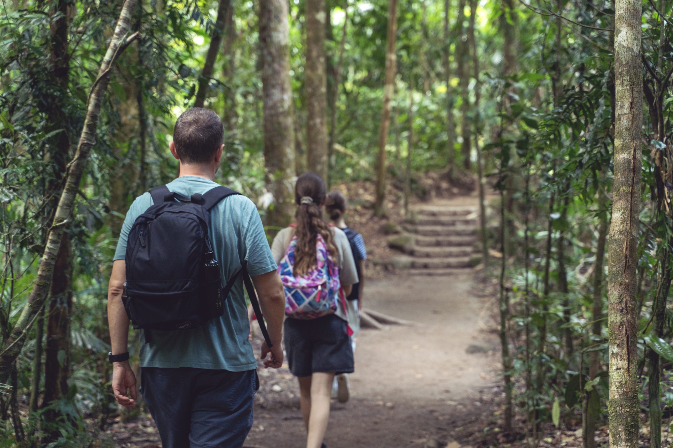 Atrações na Zona Norte de SP