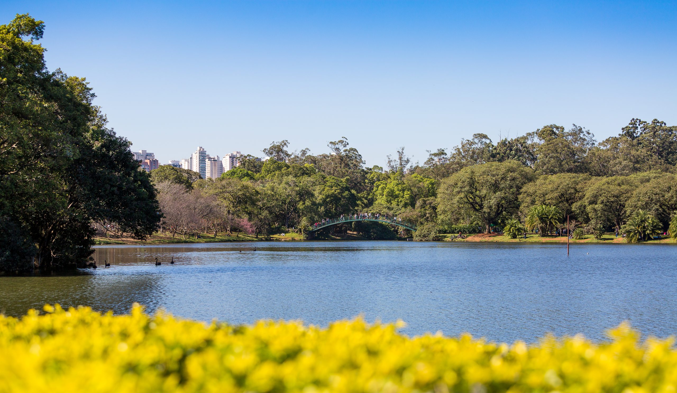 São Paulo em um dia - Atrações ZS - Parque Ibirapuera