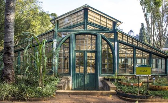 Passeios diferentes para aproveitar SP no verão