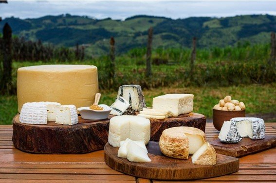 Dia do Queijo: tradição, excelência e onde comprar
