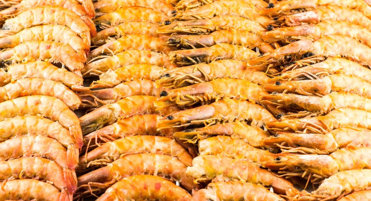 Festival do Pescado inicia temporada de verão