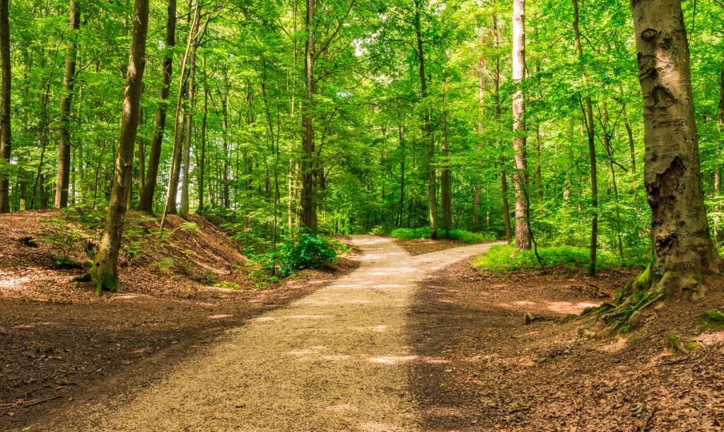 Carnaval longe da folia