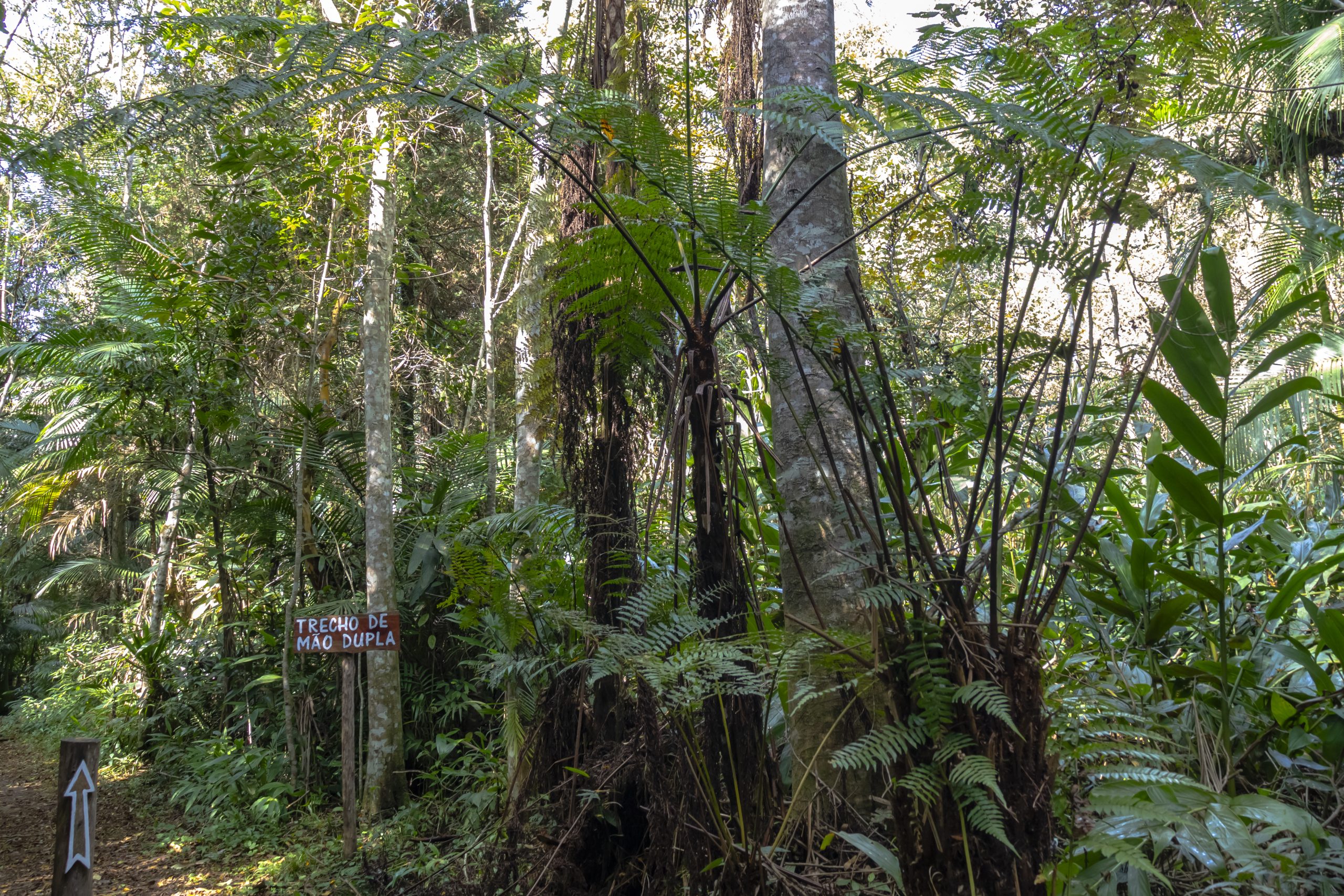 Dia Nacional do Turismo Ecológico