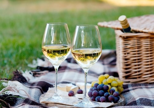 Vinhos leves para os dias quentes de verão
