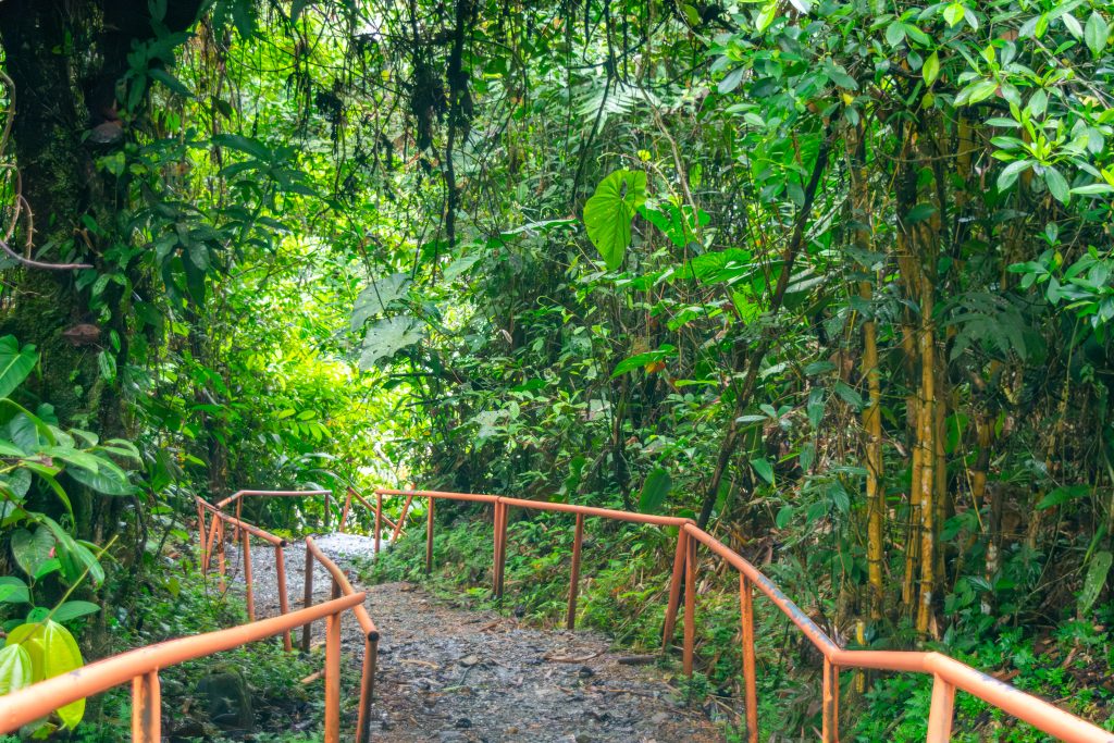 Dia Nacional do Turismo Ecológico