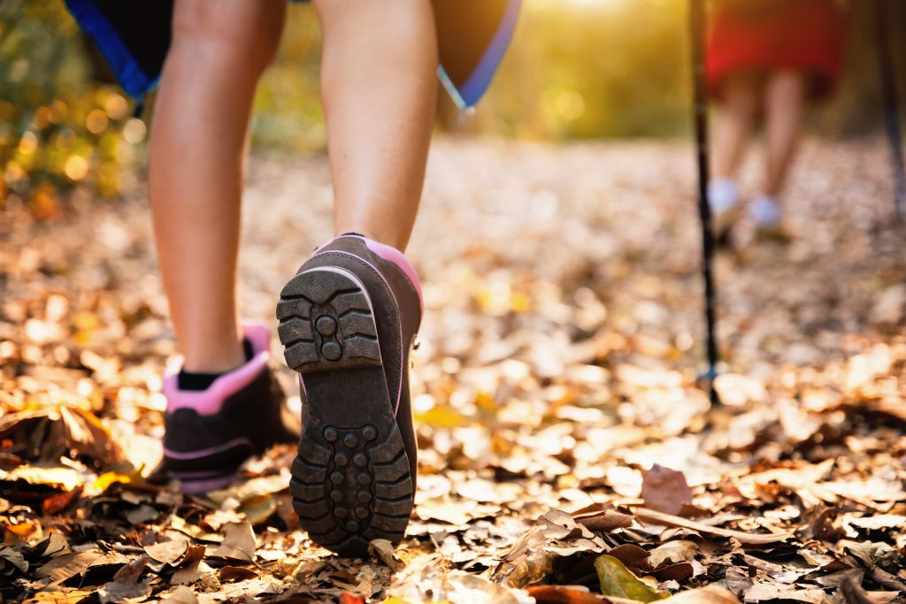 Dia Nacional do Turismo Ecológico