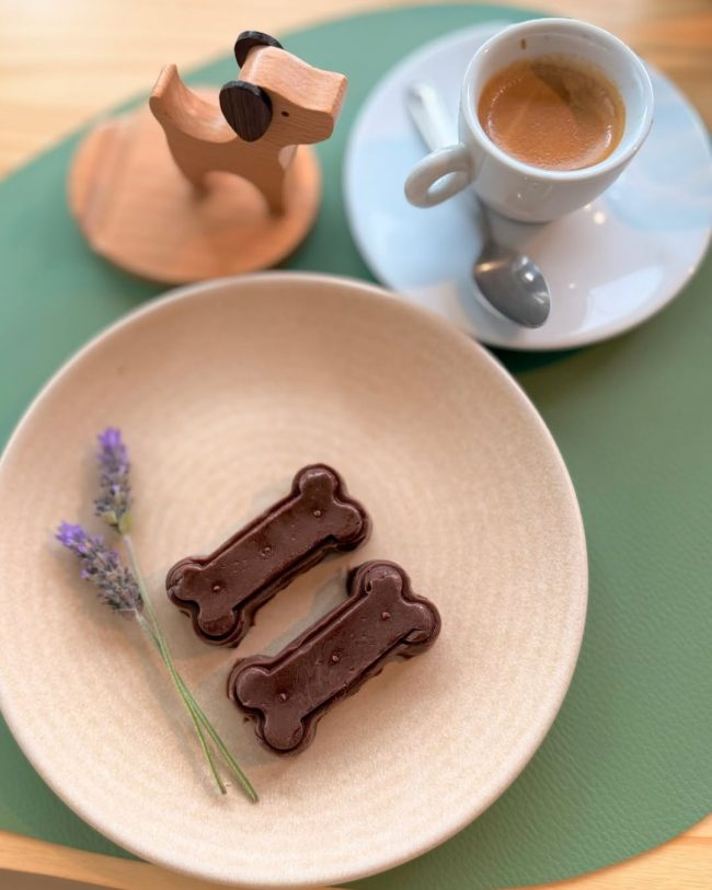 Novo café pet friendly incentiva adoção