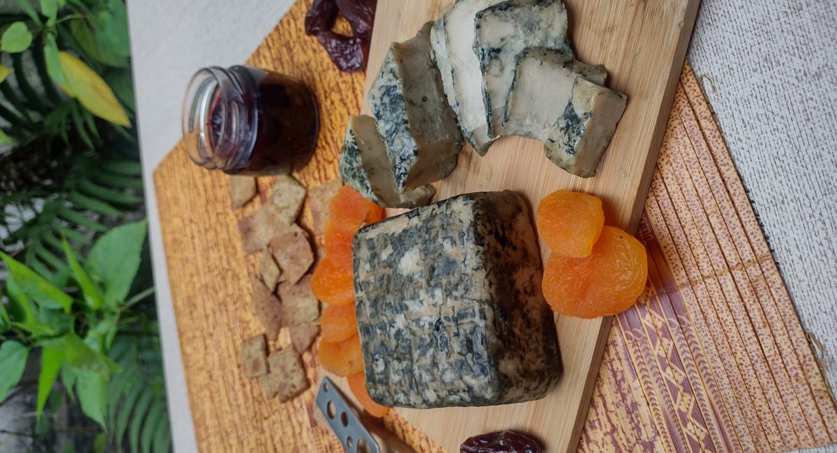 Feira Vegana celebra Dia do Gato