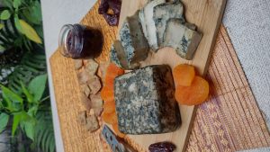 Feira Vegana celebra Dia do Gato